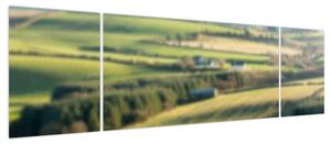 Obraz - Drewniana półka z krajobrazem (170x50 cm)