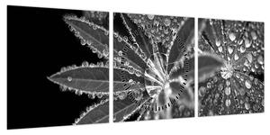 Obraz - Krople (z zegarem) (90x30 cm)
