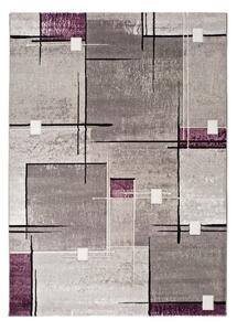 Szaro-fioletowy dywan Universal Detroit, 200x290 cm