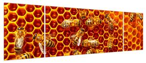 Obraz - Plaster miodu (170x50 cm)