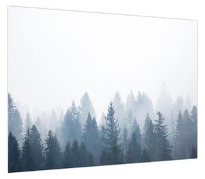 Obraz - Mglisty las (70x50 cm)