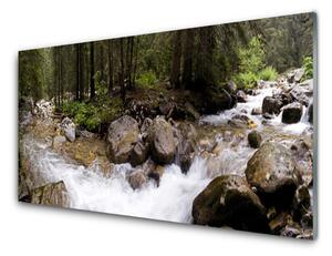 Obraz Szklany Las Rzeka Wodospady