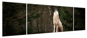 Obraz - Wycie wilka (170x50 cm)