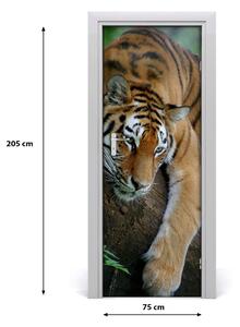 Naklejka samoprzylepna na drzwi Tygrys na drzewie