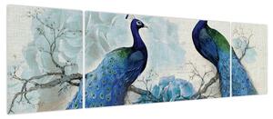 Obraz - Pawie tekstury (170x50 cm)