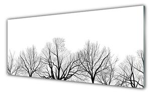 Obraz Szklany Drzewa Roślina Natura