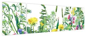 Obraz - Malowane kwiaty łąkowe (170x50 cm)