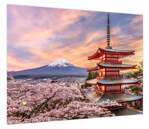 Obraz - Fuji (70x50 cm)