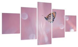 Obraz - Motyl (125x70 cm)