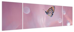 Obraz - Motyl (170x50 cm)