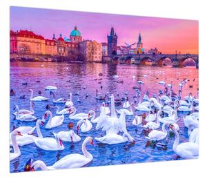 Obraz - Praga (70x50 cm)