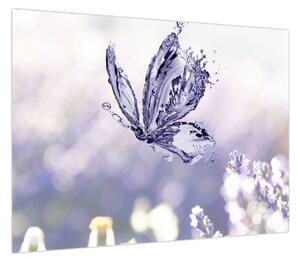 Obraz - Motyl i lawenda (70x50 cm)
