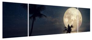 Obraz - Plaża przy pełni księżyca (170x50 cm)