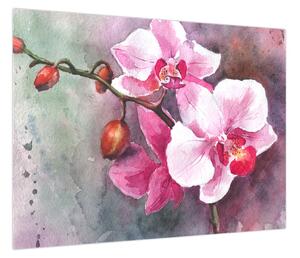 Obraz - Orchidee, akwarela (70x50 cm)