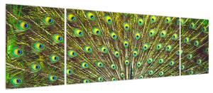 Obraz - Paw (170x50 cm)