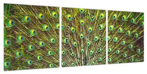 Obraz - Paw (z zegarem) (90x30 cm)