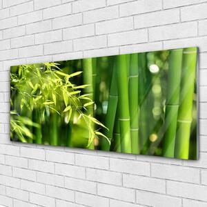 Obraz Szklany Bambus Liście Roślina