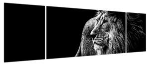 Obraz - Lew, czarno-biały (170x50 cm)