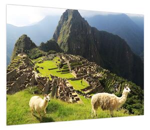 Obraz - Machu Picchu (70x50 cm)