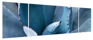 Obraz - Agawa (170x50 cm)
