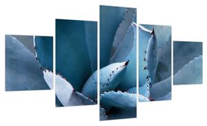Obraz - Agawa (125x70 cm)