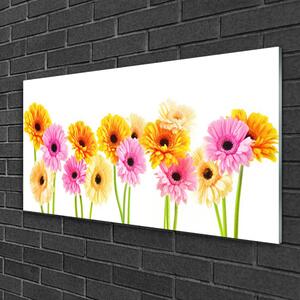 Obraz Szklany Kwiaty Kolorowe Gerbery