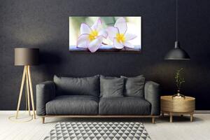 Obraz Szklany Kwiaty Płatki Plumeria