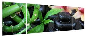 Obraz - Kamienie i orchidee (170x50 cm)