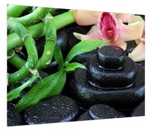 Obraz - Kamienie i orchidee (70x50 cm)