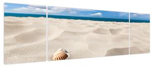 Obraz - Muszle na plaży (170x50 cm)
