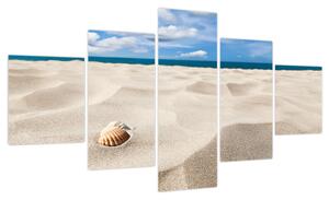 Obraz - Muszle na plaży (125x70 cm)