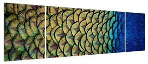 Obraz - Pawie pióra (170x50 cm)