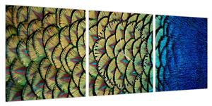 Obraz - Pawie pióra (z zegarem) (90x30 cm)