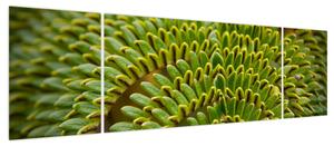 Obraz - Paproć (170x50 cm)