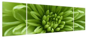 Obraz - Obraz rośliny w trybie makro (170x50 cm)