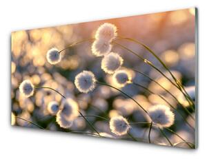 Obraz Szklany Kwiaty Roślina Natura