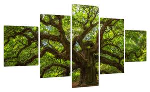Obraz - Zielone drzewo (125x70 cm)