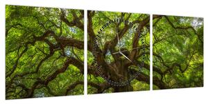 Obraz - Zielone drzewo (z zegarem) (90x30 cm)