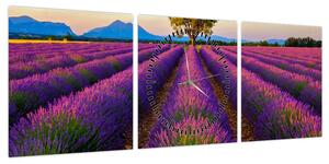Obraz - Pole lawendy (z zegarem) (90x30 cm)