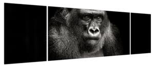 Obraz - Goryl (170x50 cm)