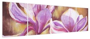 Obraz - Kwiaty magnolii (170x50 cm)