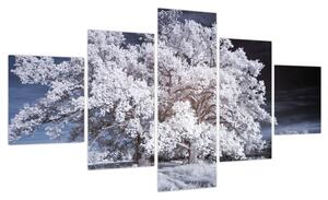 Obraz - Śnieżnobiałe drzewo (125x70 cm)