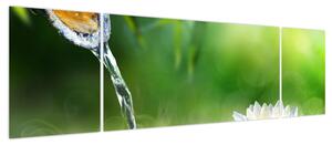 Obraz - Lotos (170x50 cm)
