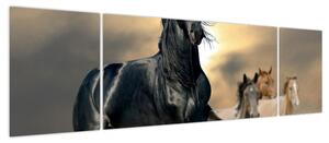 Obraz - Konie (170x50 cm)