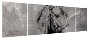 Obraz - Portret konia (170x50 cm)