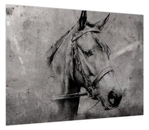 Obraz - Portret konia (70x50 cm)