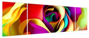 Obraz - Kolorowa róża (170x50 cm)