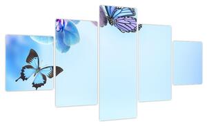 Obraz - Motyl na kwiatach orchidei, niebieski (125x70 cm)