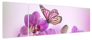 Obraz - Motyl na kwiatach orchidei, liliowy (170x50 cm)