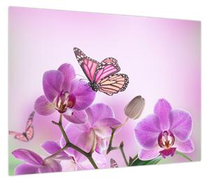 Obraz - Motyl na kwiatach orchidei, liliowy (70x50 cm)
